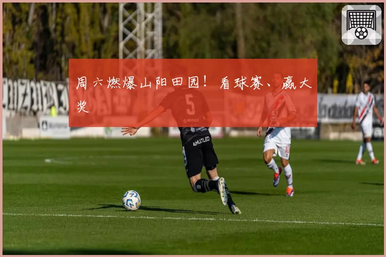 周六燃爆山阳田园！看球赛、赢大奖
